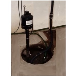 Pictured is an Installed pedestal sump pump to show its advantage oif easy maintenace because its motor is above ground. 